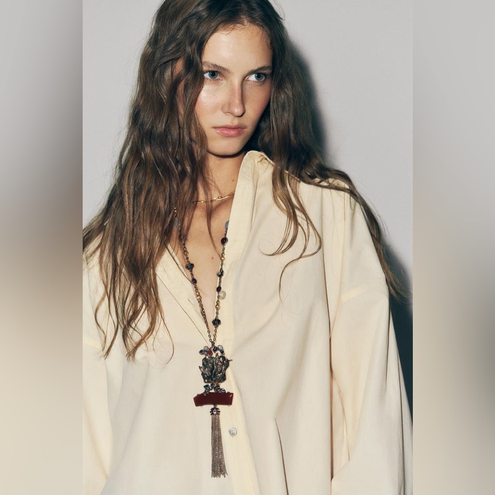 NWT Zara Bird Stone Link Necklace
